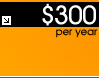 Website Hosting Plan