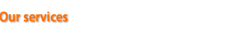 WEBOnePro Services